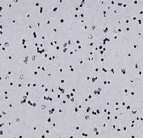 Линолеум Forbo Sphera Ec 450032 soft lilac фото 1 | FLOORDEALER